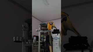 혼잣말 하는 루카 (셀프칭찬)