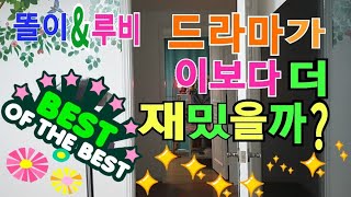 뉴기니아앵무새 [루비] 말하는것좀 보소~오해없이 시청해…