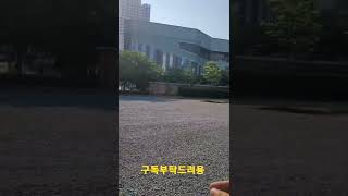 야호!! 루카가 손으로 왔다!! #shorts #청금강