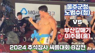 [금강장사 8강전] 울주군청 노범수(청) vs 부산갈매기 이주용(홍) | 2024 추석장사 씨름대회