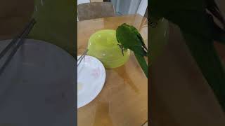 #삶은계란 먹고싶어 환장하는 중