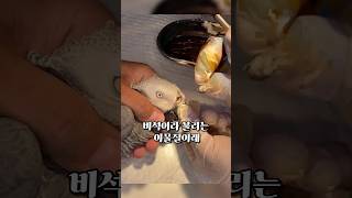 코딱지를 안파면 앵무새가 죽는다고?#유머 #고양이밈 #…