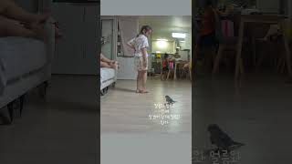 #퀘이커앵무새 #앵무새베베 #금쪽이 #퀘이커 #말안듣는앵무새