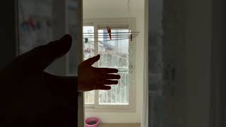 코뉴어 앵무새 호출하기