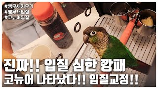[리프승수가 간다!] 진짜!! 입질 심한 깡패 코뉴어 나타났다!! 입질 교정!!
