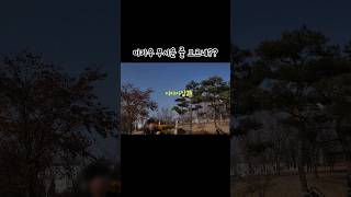 마카우 무서운 줄 모르네?? / 청금강과 아마존의 자유비행 / freeflight / #shorts