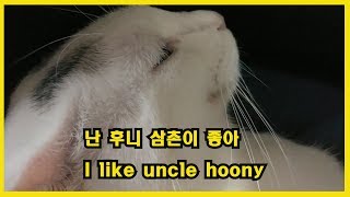 [후니] 채널 인기순위 꼴지 후니의 일상