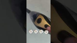 #코뉴어 #앵무새 #parrot#사고#누가그랬어