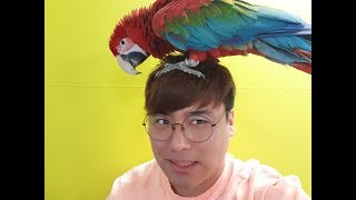 와 열받습니다. (고소 가능합니까?? ) 자문좀부탁드려요(아프리카tv동시방송중)