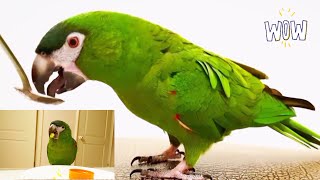 철수가 맛있다를 몇 번이나 말했을까요~? 달달한 고구마 부드럽고 고소한 스프 음...맛있다아~~!!