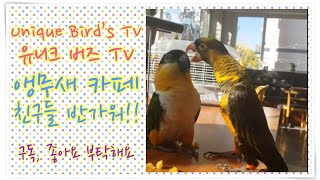 앵무새까페에놀러간 아이들^^