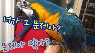 첫번째 의뢰. 청금강 입질 때문에 만질수가 없어요. 어…