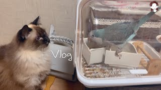 [일상  vlog] 퀘이커와 함께하는 일상| 산책 | …