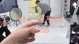 [일상 vlog] 앵무새 프로필 촬영하는 브이로그