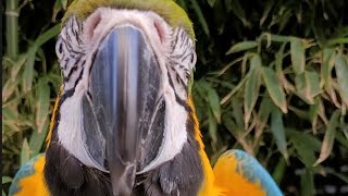 루카 짧은 영상 모음!!