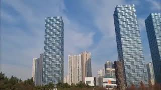 앵무새 청금강 하리의 비행  ㅡ인천센트럴 파크 공원에서