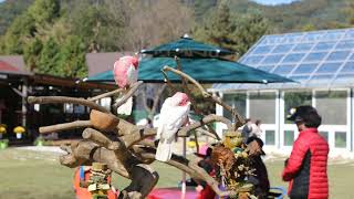 포천 평강식물원 2017 10 14