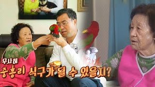 까칠한 앵무새 만새와 제리 장모의 숨 막히는 첫 만남!…