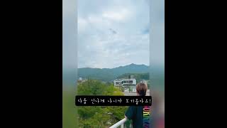 앵무새자유비행 청금강 겨울이와 친구들