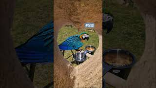 태화강 국가정원 /청금강/봄날