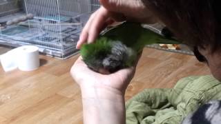 희야의 폭풍 애교 ㅎ