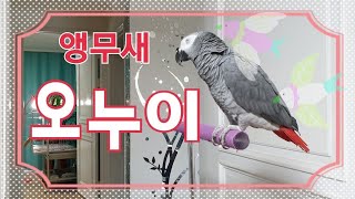 엄마랑 매일 이러고 있으니 말을 잘할 수 밖에요~[연구…