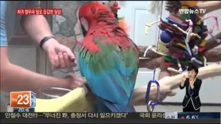 홍금강 앵무새라더니…알 깨고 나온 건 병아리