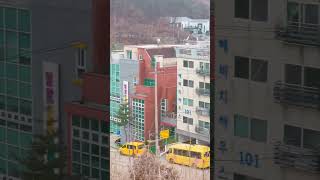 오남저수지 산책하는 청금강 앵무새 겨울가을 #자유비행 …