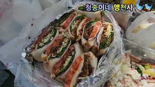 앵무새가족 정기모임 -광주에서 올라온 샤#청금강 샤넬 #회색앵무 하루