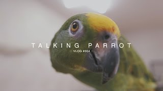 Paul's Log #015 - Panasonic LX100 / Talking Parrot (말하는 앵무새)