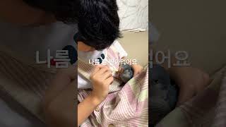 퀘이커 앵무새 또또 형아가 주는 맘마