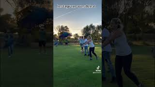 밀리골드 마카우 홍금강 청금강 자유비행 #miligoldmacaw