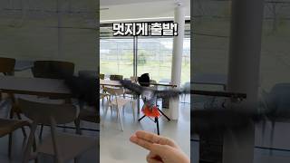 앵무새 호출훈련 성공하면~ 가평 앵무새카페 아마조나, 회색앵무 잠바