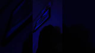 루카 이리와봐 #macaw #청금강 #청금강앵무새