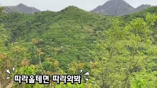 까마귀 따라올테면따라와봐 /카페마카우 머루/마카우비행/…