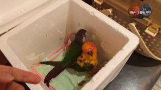 코뉴어모임에 가다