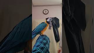 뭐함? #청금강 #shorts