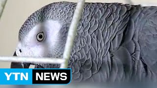 &quot;앵무새는 알고 있다&quot;...증거 채택…