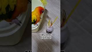 써니야~타겟을 정확하게 택해야지!~ #썬코뉴어 #par…