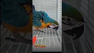 당근싫어싫어   청금강 청일이