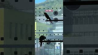 한살 배기 앵무새의 말하기 연습 #parrot #birds #앵무새 #문칙 #삼월 #코뉴어 #conure #문칙코뉴어 #말하는앵무새