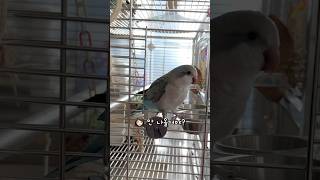 문 여는 것도 내가 하고 나가는 것도 내가 정한다꾸 #…