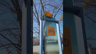 바람으로 샤워하는(?) 루카 #shorts #청금강 #청금강앵무새