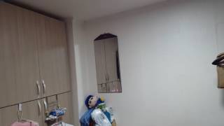 부매랑 훈련하는 파인애플코뉴어(boomerang tra…