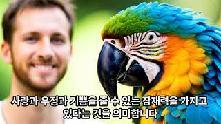 한스마카우 앵무새에 대해서 장단점 3가지
