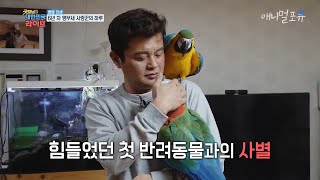 반려견과의 사별로 힘들었던 마음을 치유해준 앵무새들, …