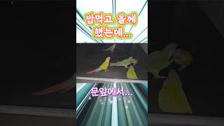 밥 먹고 올께 했는데... 코뉴어