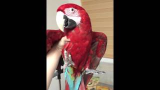 신뢰와 교감으로 이룬 홍금강 타미의 터치업 공감하기