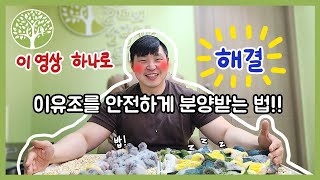 [앵무새키우기]아기 앵무새 분양 고민... 이 영상 하나로 고민 끝!!