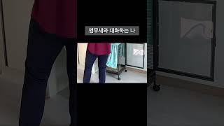 앵무새와 대화하는 나